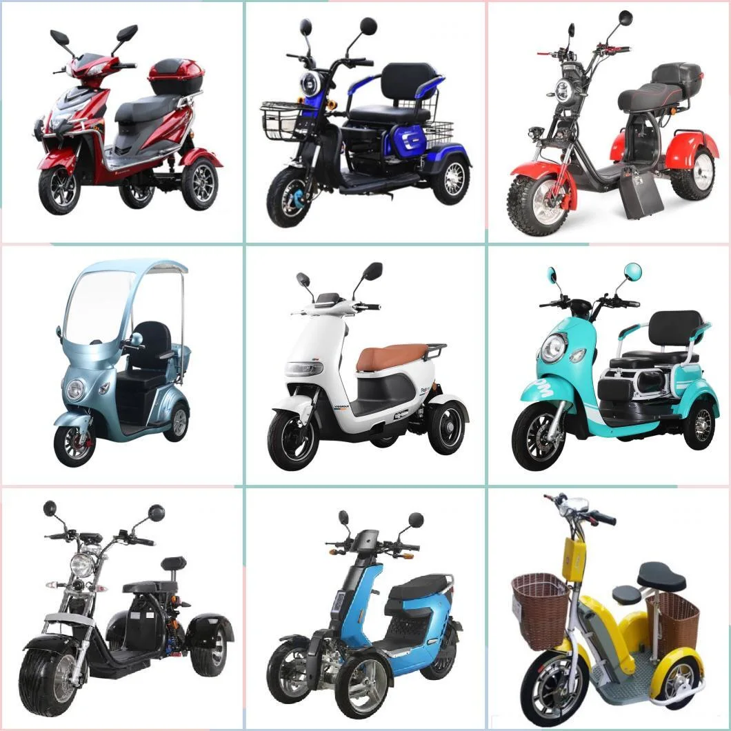 China Mini 3 Wheel Adults Handicapped Pedal Electric Trike Two Seat Electric Scooter for Old Person Disabled