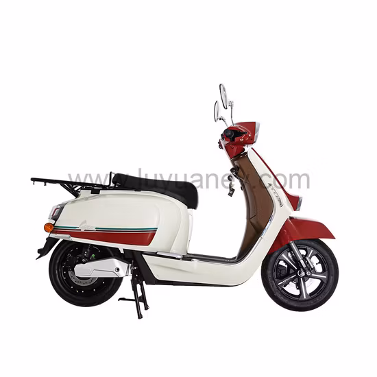 Hochgeschwindigkeits-Elektromotorrad Mqn5 EEC