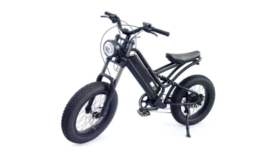 20 * 4,0 Fat Tire Male Mountain und Pendler Aluminiumrahmen Elektrofahrrad E-Fahrrad Ebike